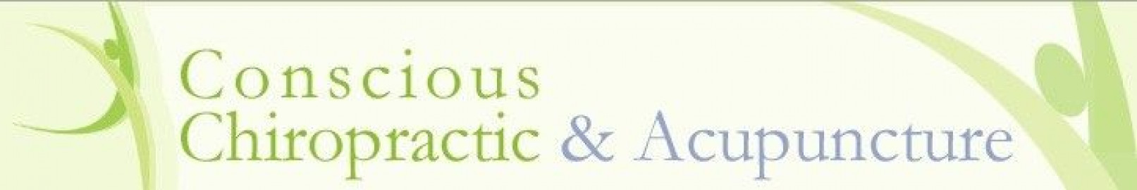 Visit Conscious Chiropractic and Acupuncture